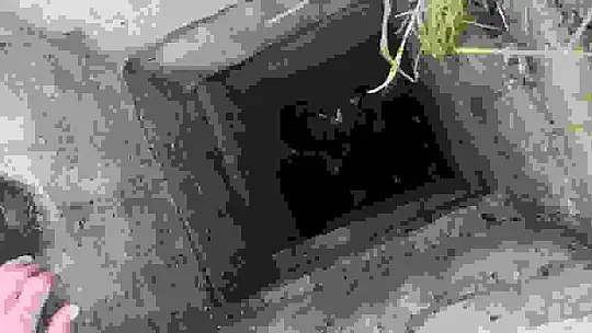 Kuyuda mahsur kalan kedileri itfaiye ekipleri kurtardı