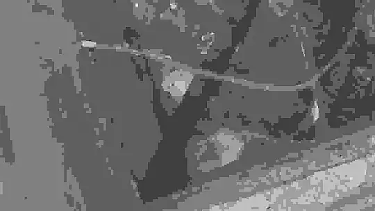 Kuyuda mahsur kalan kedileri itfaiye ekipleri kurtardı