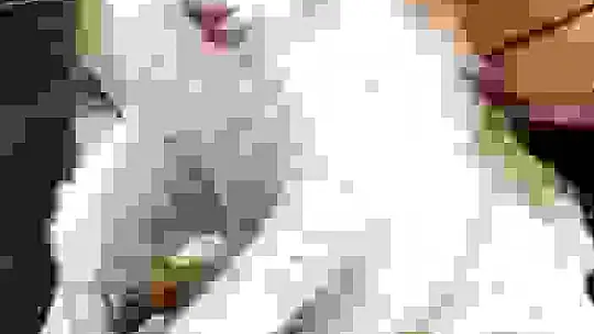 Kuyuda mahsur kalan kedileri itfaiye ekipleri kurtardı