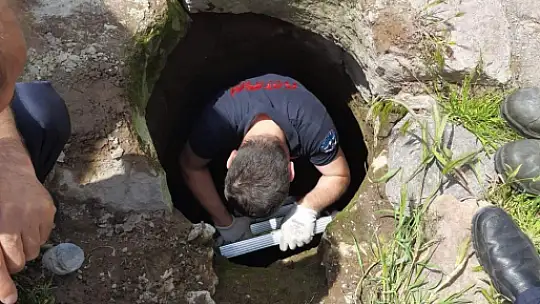 Yavru kediyi bakın nasıl kurtardılar