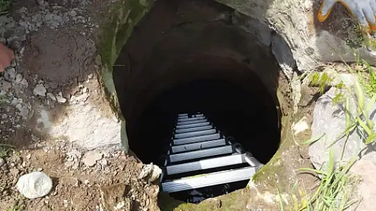 Yavru kediyi bakın nasıl kurtardılar