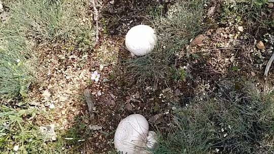 Dikkat! Ölüme götürebilir