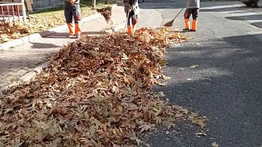 Melikgazi Belediyesi gazel temizliği yapıyor