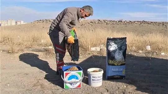 Sokak hayvanlarına mama dağıtıldı