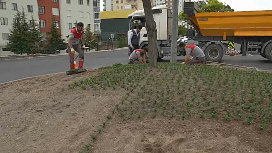 Melikgazi çiçeklerle süslendi