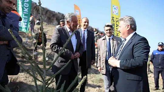 Melikgazi'den Milli Ağaçlandırma Günü'ne özel 3 bin 838 fidan