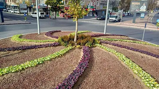 Melikgazi'nin Kavşakları Çiçeklerle Renklendi