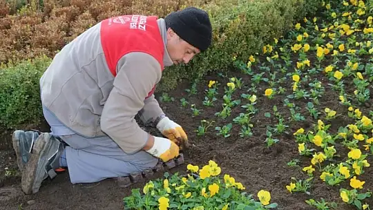 Melikgazi'nin Kavşakları Çiçeklerle Renklendi