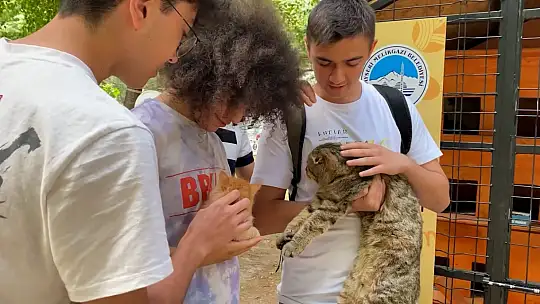 Melikgazi sokak hayvanlarını unutmadı