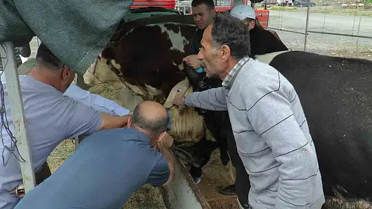 Şahin'den bayram öncesi açıklama