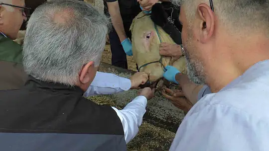 Şahin'den bayram öncesi açıklama