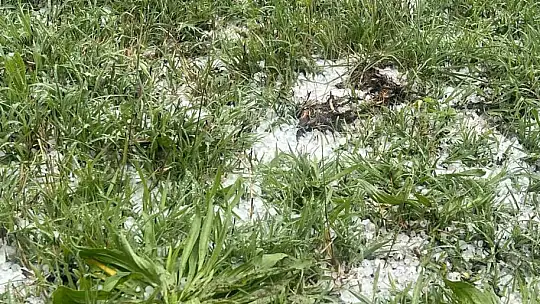 Nevşehir'de 30 bin dekar ekili arazi doludan zarar gördü