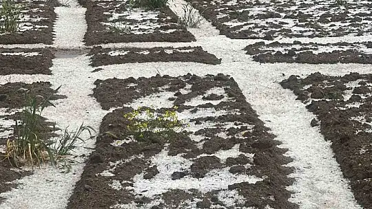 Nevşehir'de 30 bin dekar ekili arazi doludan zarar gördü