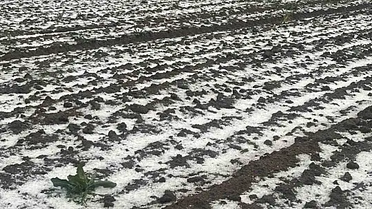 Nevşehir'de 30 bin dekar ekili arazi doludan zarar gördü