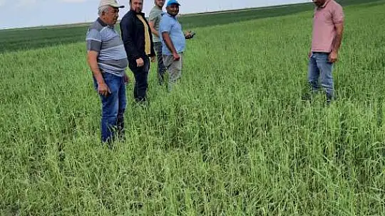 Nevşehir'de 30 bin dekar ekili arazi doludan zarar gördü