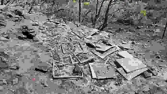 Orman yangını, 10 yıllık emeği yaktı binlerce arısı telef oldu