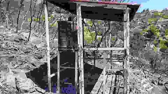 Orman yangını, 10 yıllık emeği yaktı binlerce arısı telef oldu