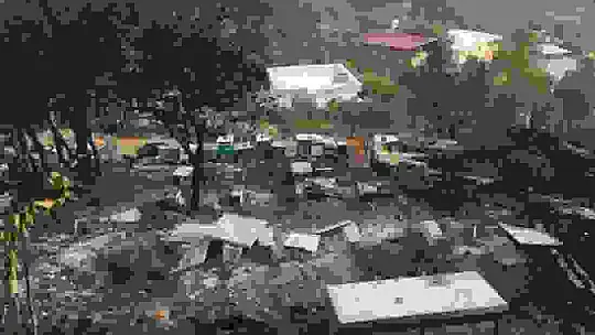 Orman yangını, 10 yıllık emeği yaktı binlerce arısı telef oldu