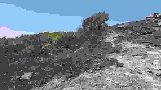 Orman yangını, 10 yıllık emeği yaktı binlerce arısı telef oldu