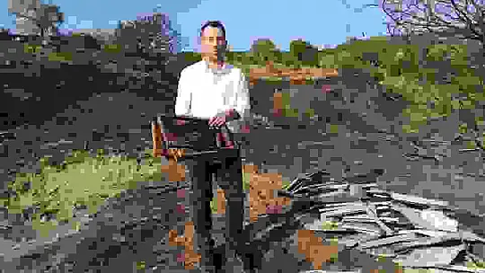 Orman yangını, 10 yıllık emeği yaktı binlerce arısı telef oldu