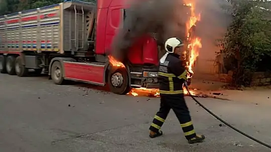 Park halindeki tır yandı