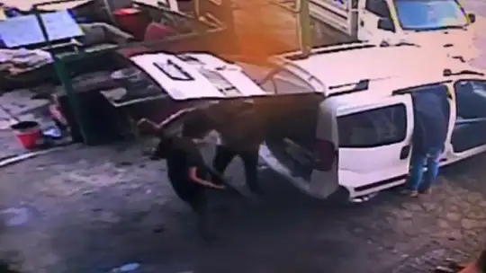 Polisler hırsızları kıskıvrak yakaladı