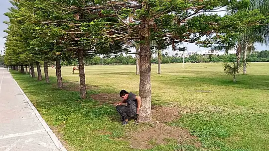 Sahibini düşüren atın parkta başıboş dolaşması vatandaşları tedirgin etti