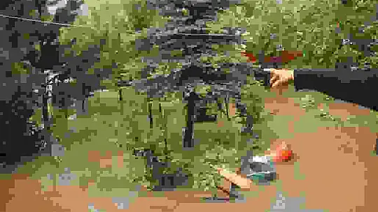 Sele aldırış etmeden oyunlarına devam ettiler