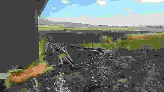 Sivas'ta tarla yangınında 50 dönüm ekili alan kül oldu