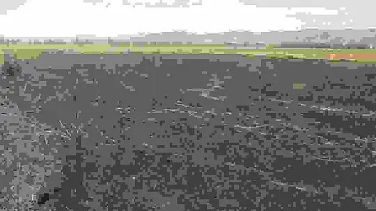 Sivas'ta tarla yangınında 50 dönüm ekili alan kül oldu