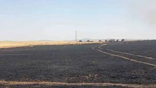 Sorgun'da 200 dekar ekili tarım arazisi küle döndü