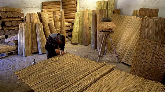 Sultan Sazlığı'nın  geçim kaynağı kamışlar