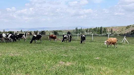 Talas Belediyesi'nden yeni bir hizmet daha...