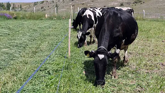 Talas Belediyesi'nden yeni bir hizmet daha...