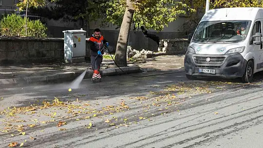 Talas Genelinde Sonbahar Temizliği