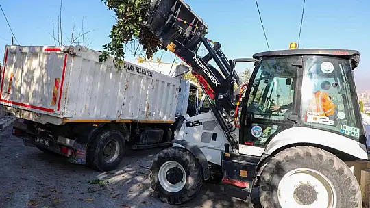 Talas Genelinde Sonbahar Temizliği