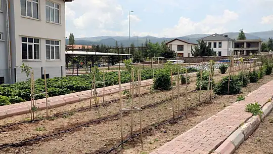 Talas, tarım ve hayvancılıktaki örnek modeli her geçen gün artıyor