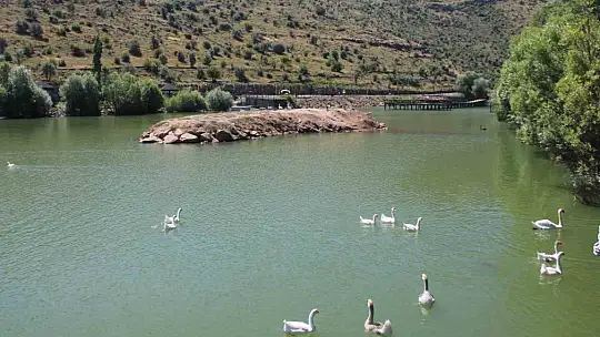 Yalçın yeni projeler hakkında bilgi verdi