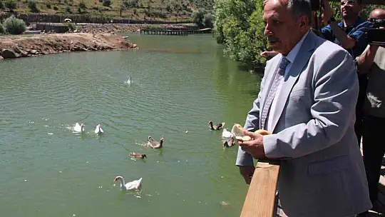 Yalçın yeni projeler hakkında bilgi verdi