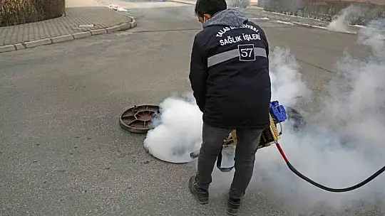 Talas'ta sinek ve haşerata erken önlem