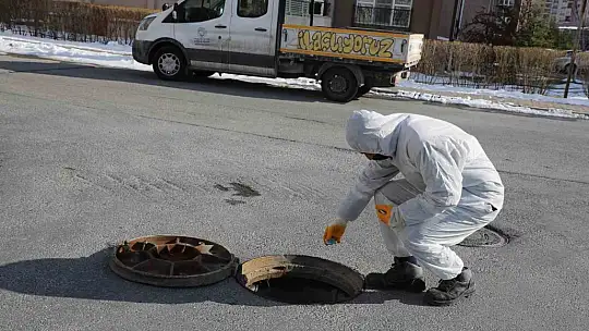 Talas'ta sinek ve haşerata erken önlem alınıyor