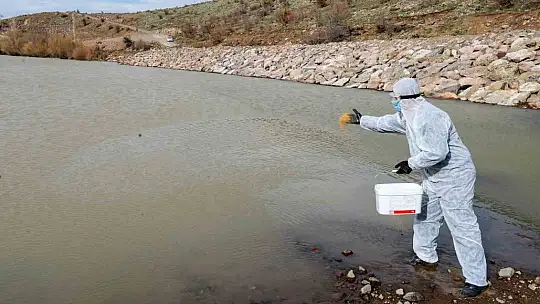 Talas'ta sinek ve haşerata erken önlem alınıyor