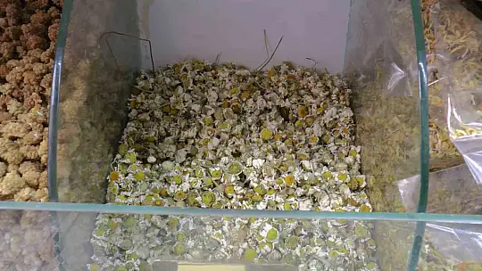 Terlemeye karşı farklı çözümler!