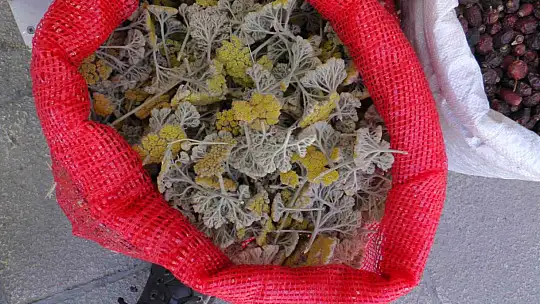 Terlemeye karşı farklı çözümler!