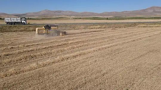 Tomarza'da hububat hasat zamanı başladı