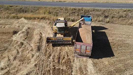 Tomarza'da hububat hasat zamanı başladı