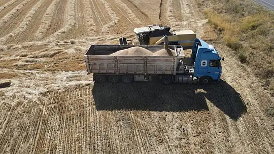 Tomarza'da hububat hasat zamanı başladı