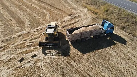 Tomarza'da hububat hasat zamanı başladı