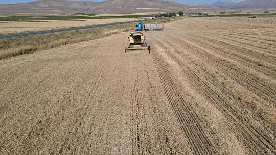 Tomarza'da hububat hasat zamanı başladı