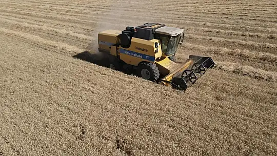 Tomarza'da hububat hasat zamanı başladı